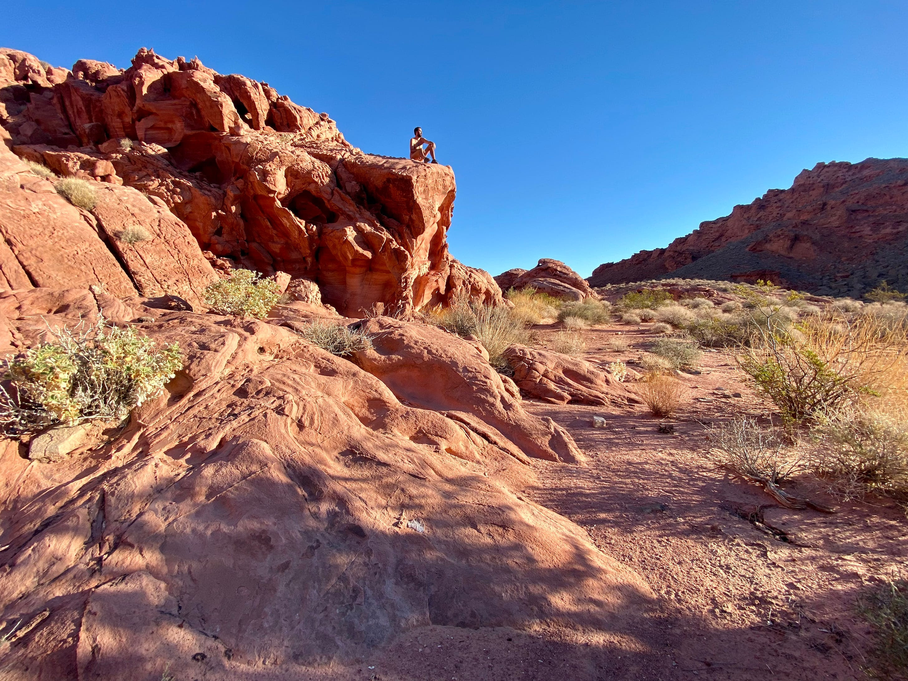 The great social media migration